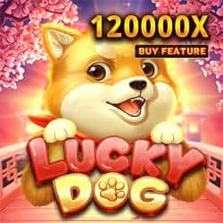 lucky dog
